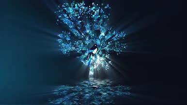 星空粒子唯美浪漫星河树喜鹊鸟烂漫背景元素视频的预览图